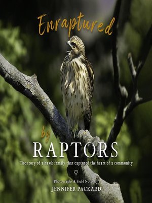 cover image of Enraptured by Raptors